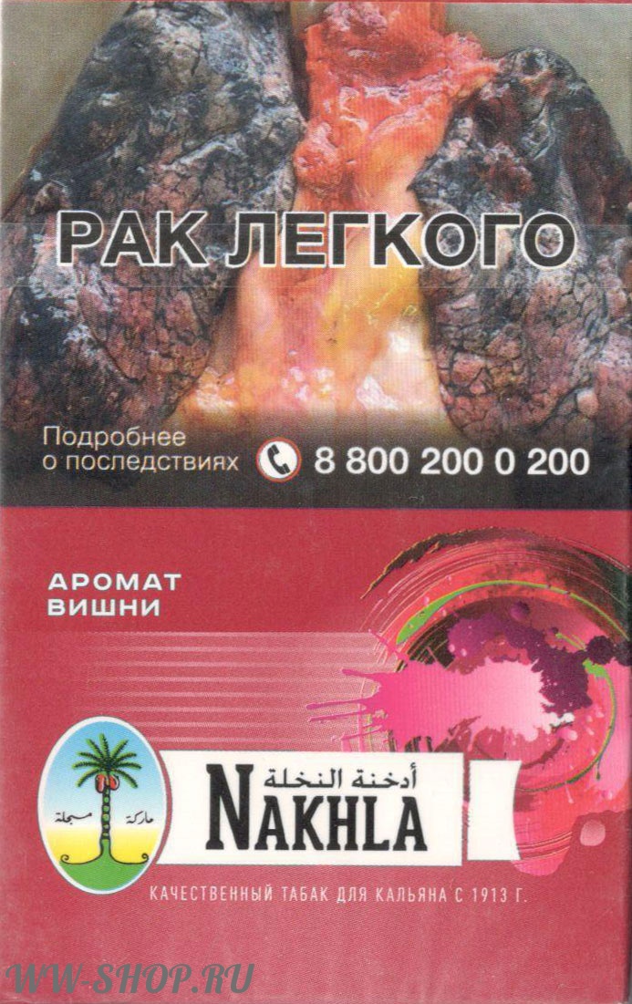 nakhla- вишня (cherry) Красноярск