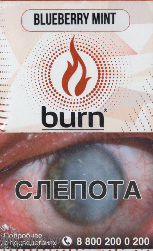 burn- мятная черника (blueberry mint) Красноярск
